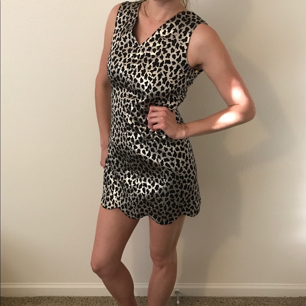 Cynthia Steffe Leopard Metallic Mini